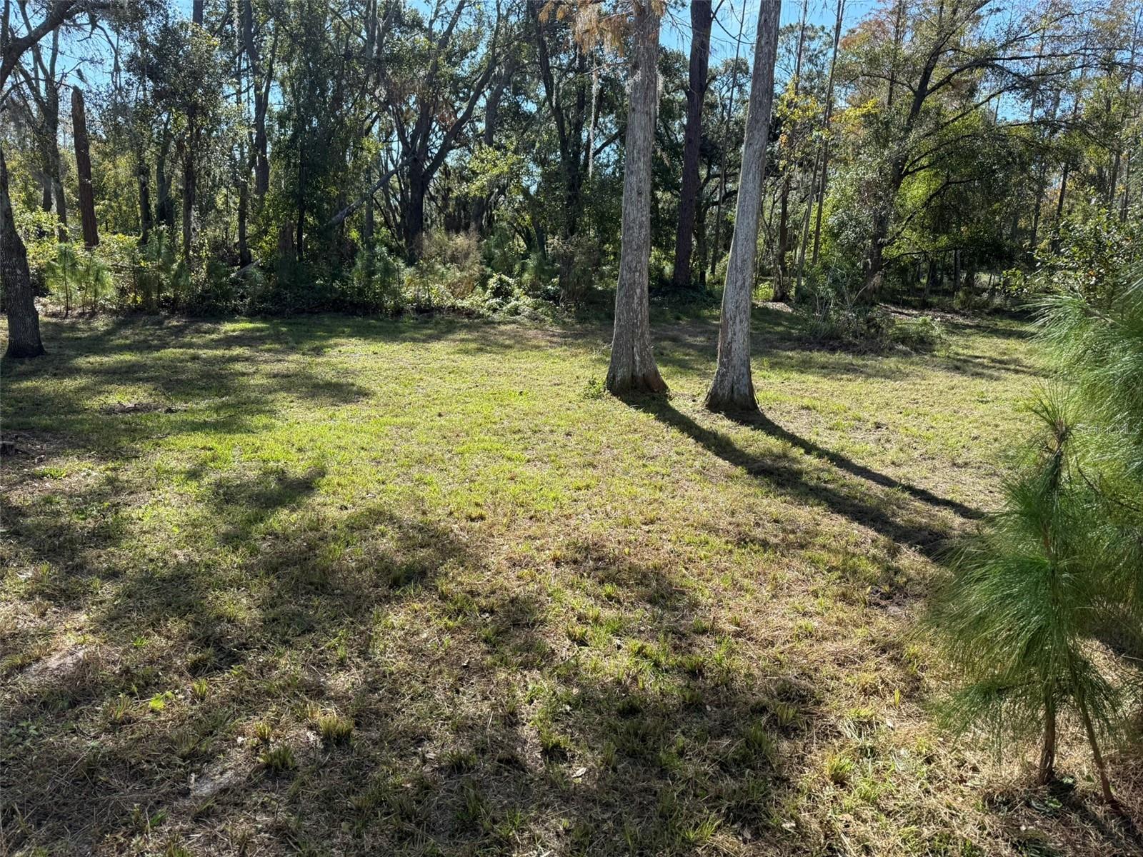 Image 8 of 35 For 6755 Old Pasco Road