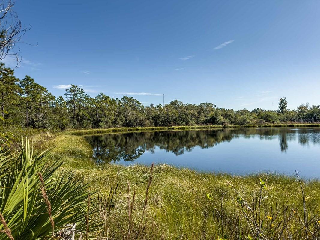 Image 9 of 18 For 11329 Hardwood Hammock Lane