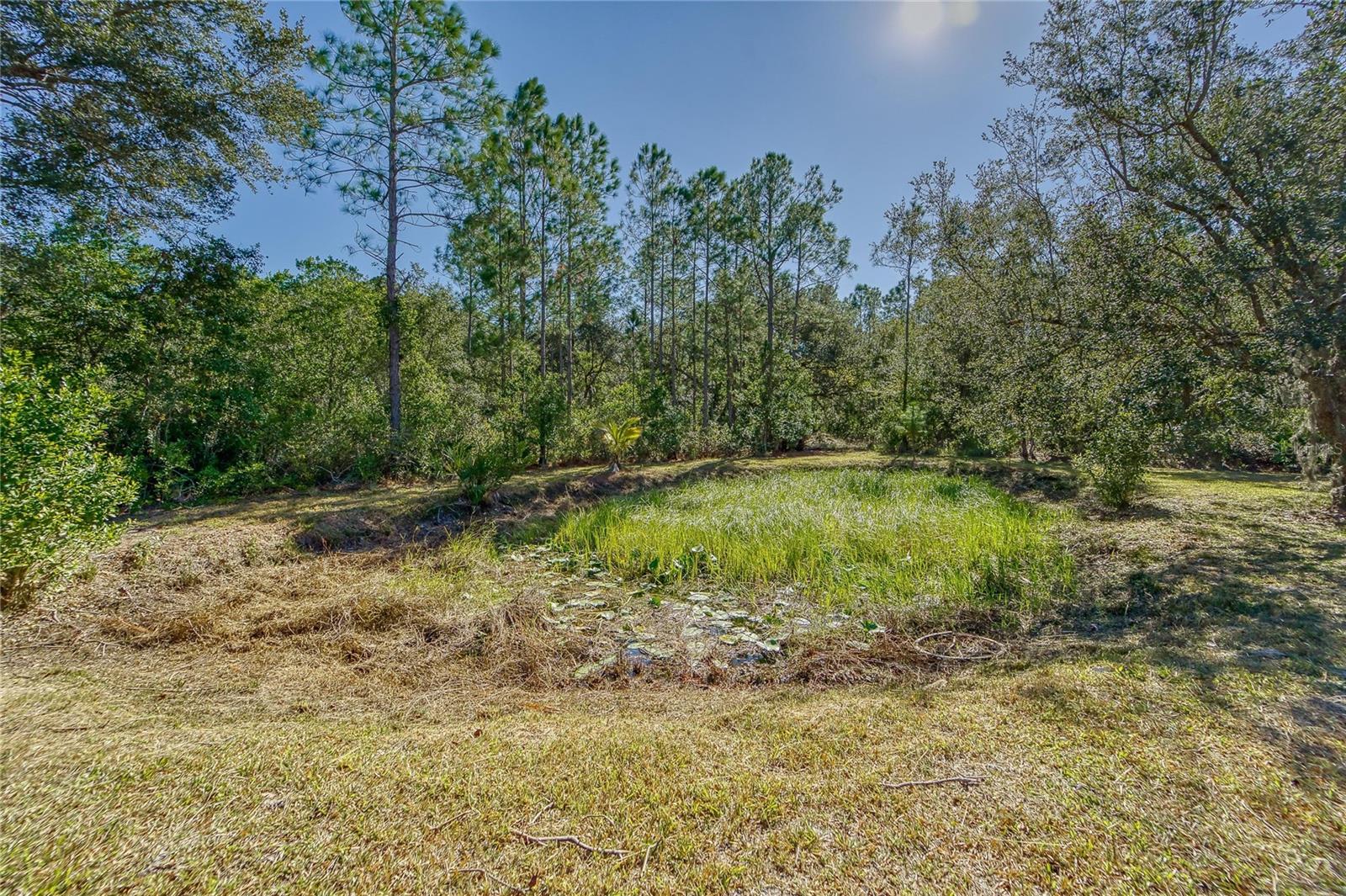 Image 8 of 30 For 2442 Rosalie Lake Road