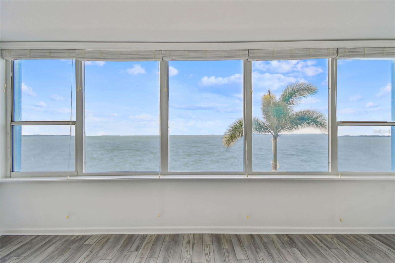 Details for 5 Gateshead Drive 203, DUNEDIN, FL 34698