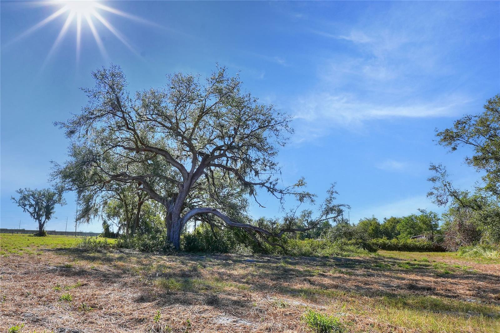 Image 4 of 9 For 17744 Bledsoe Loop