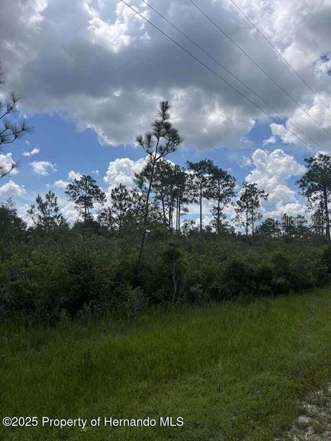 Image 7 of 10 For 00 Ramsey Road