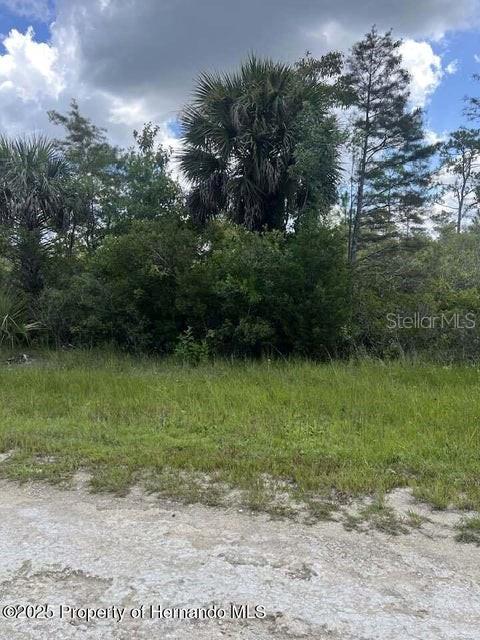 Image 9 of 10 For 00 Ramsey Road