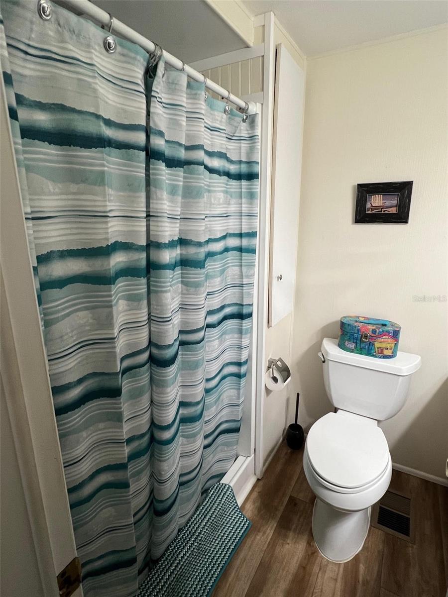 Listing photo id 27 for 39 Pindo Palm Street W