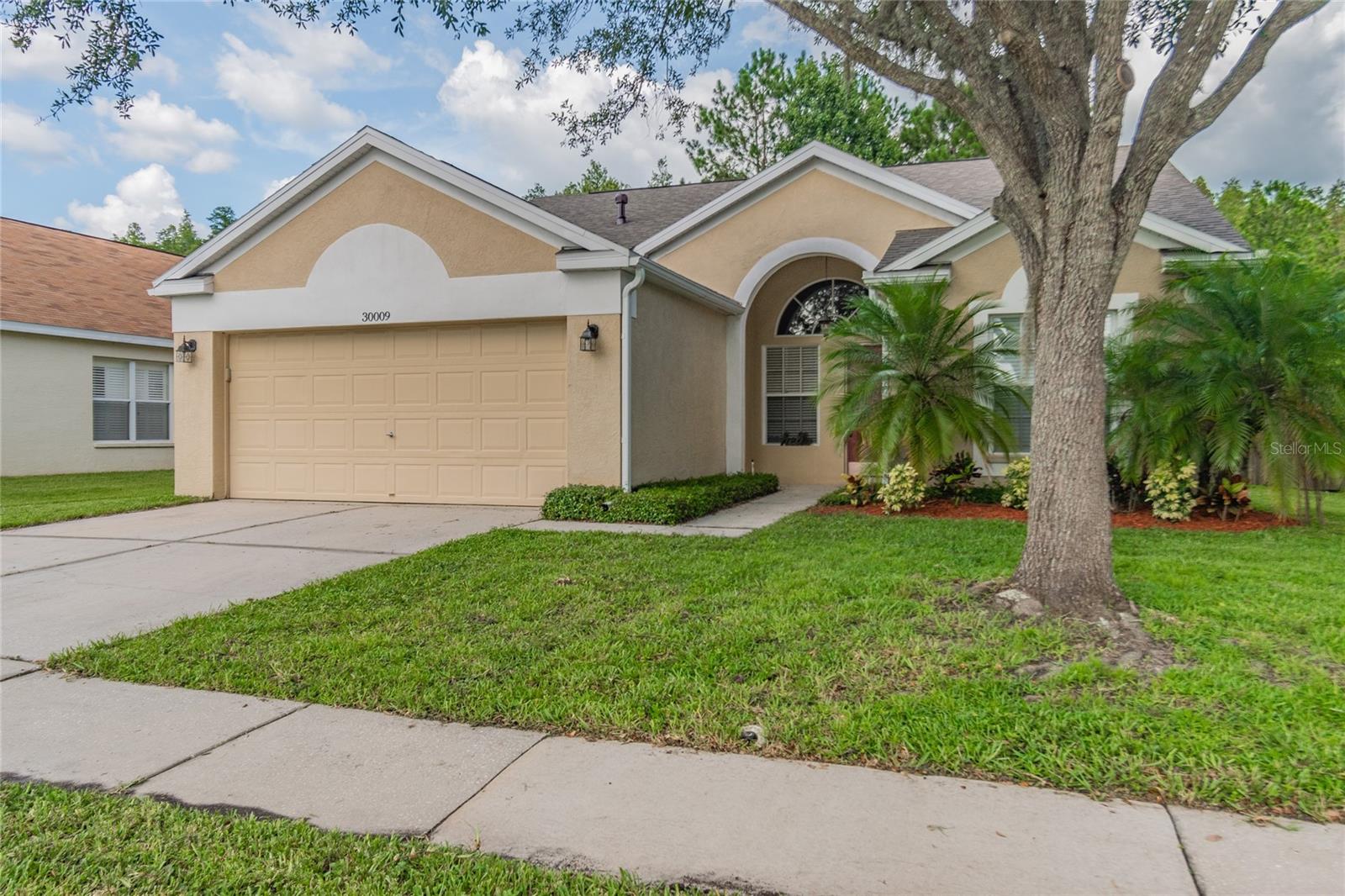 Details for 30009 Morningmist Drive, WESLEY CHAPEL, FL 33543