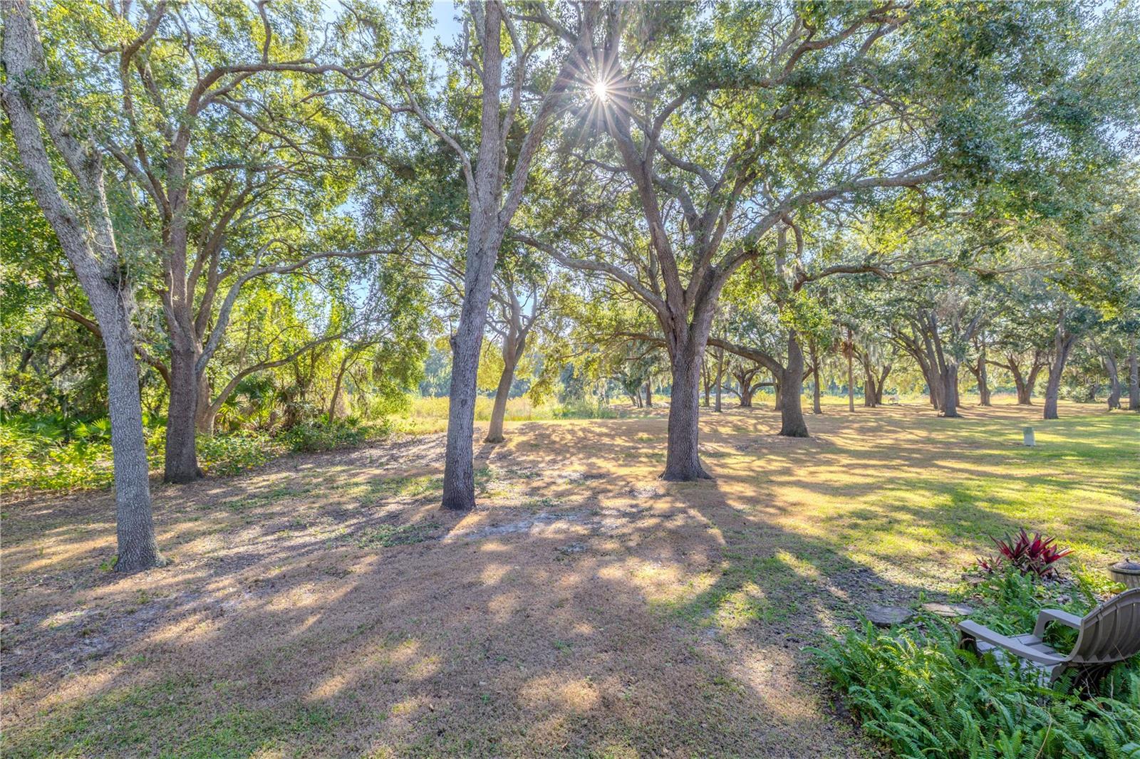 Image 33 of 42 For 2432 Lake Woodberry Circle