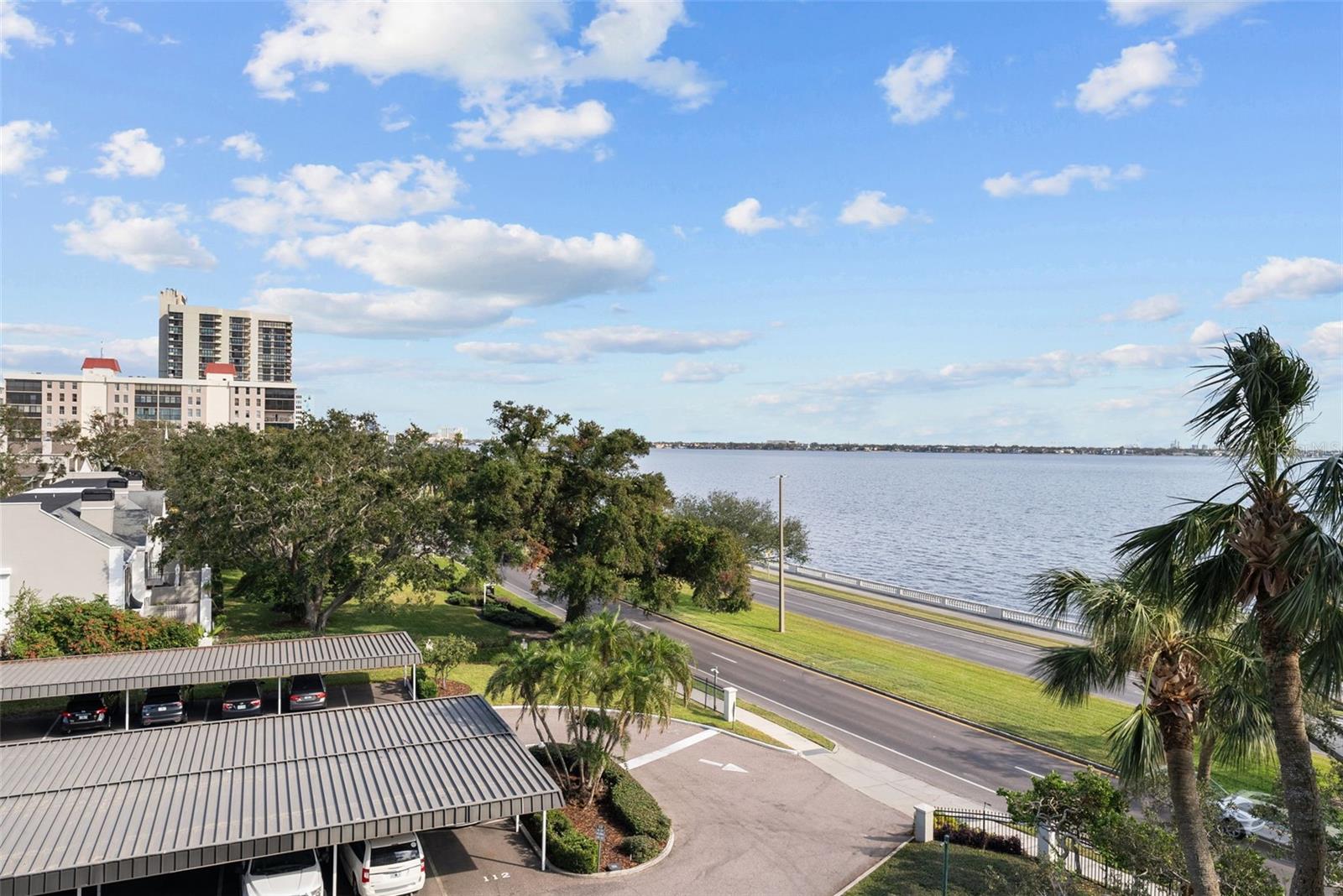 Image 15 of 65 For 2611 Bayshore Boulevard 506