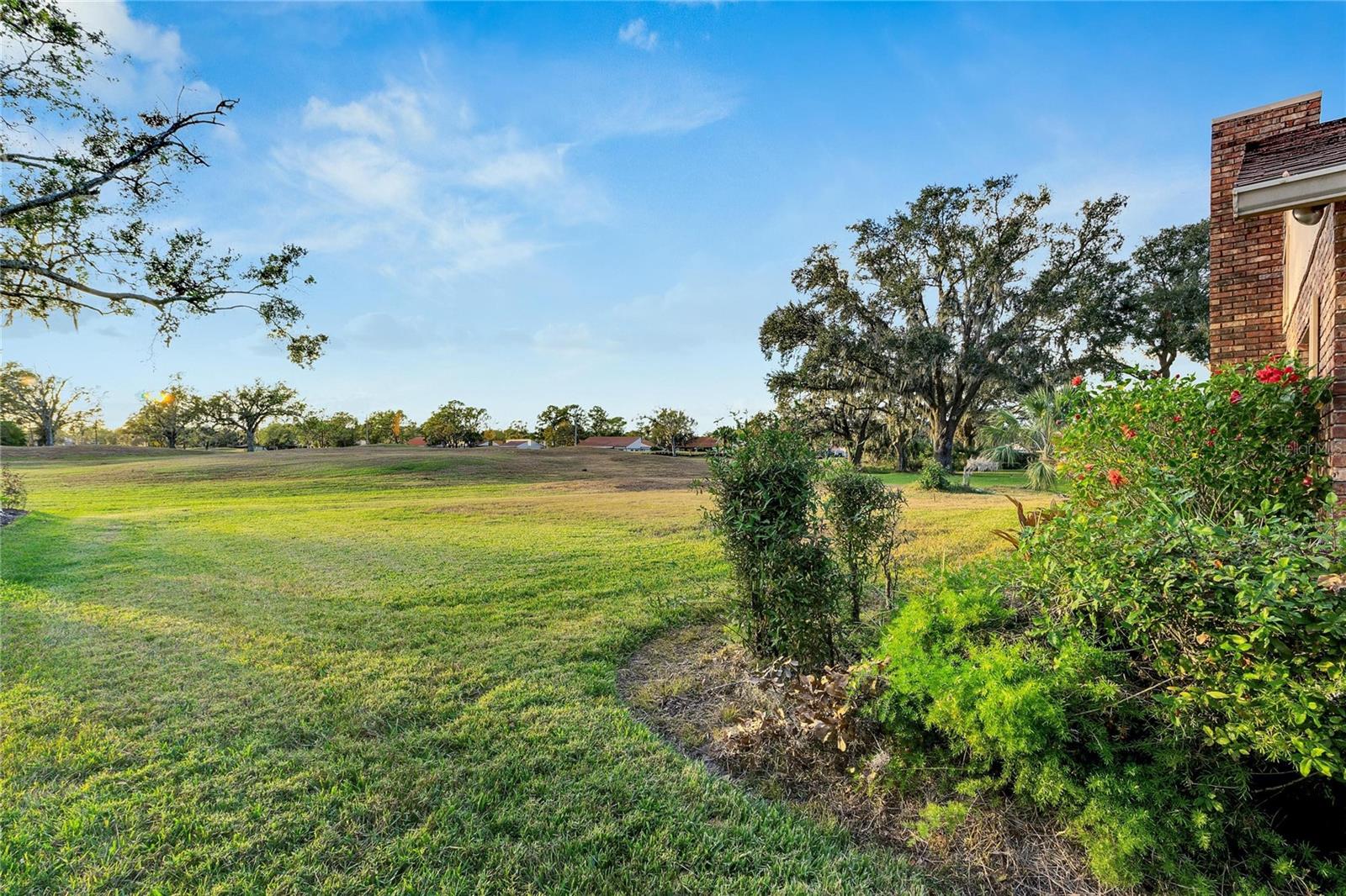 Image 11 of 79 For 1903 Country Club Court