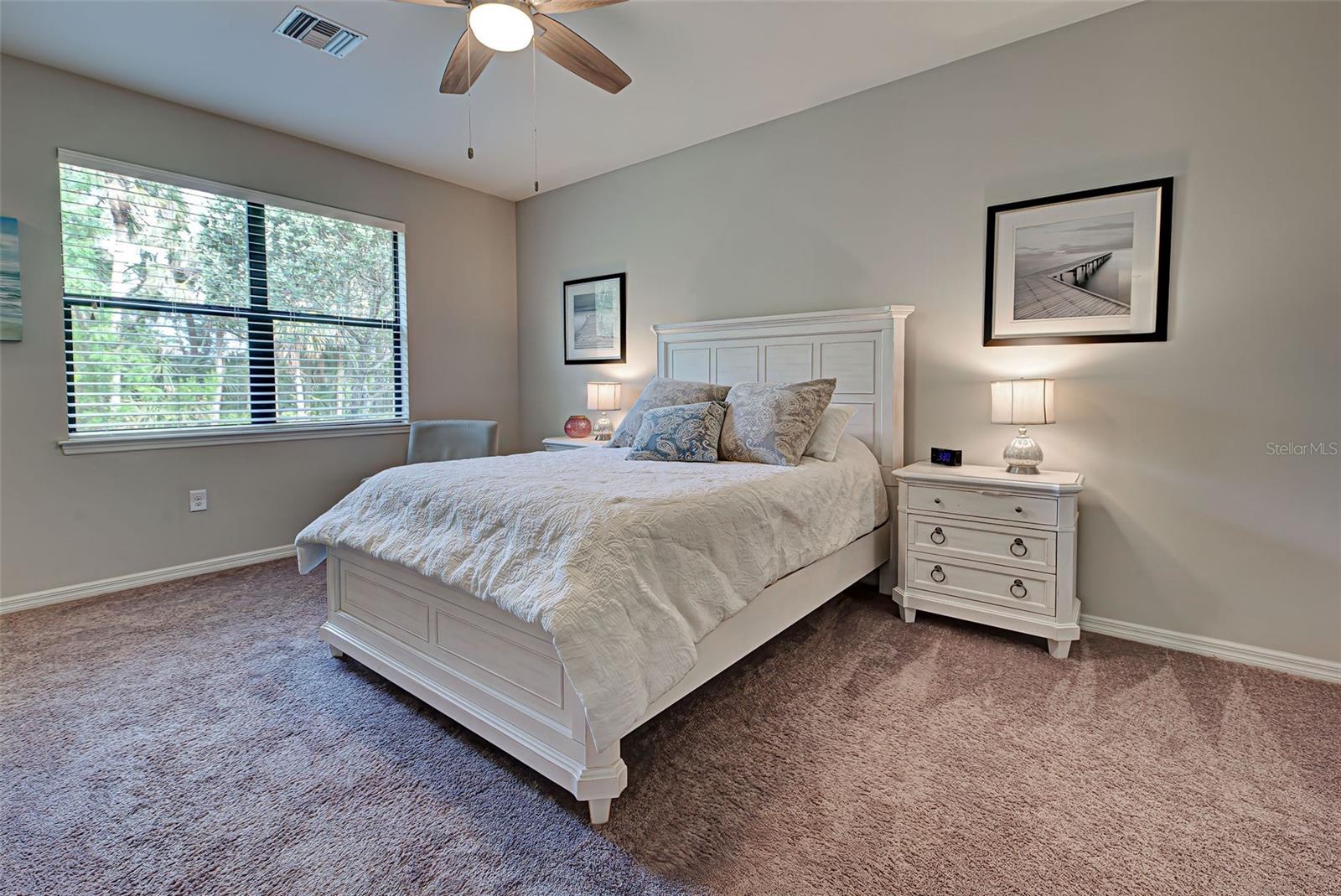 Listing photo id 37 for 11976 Blazing Star Drive