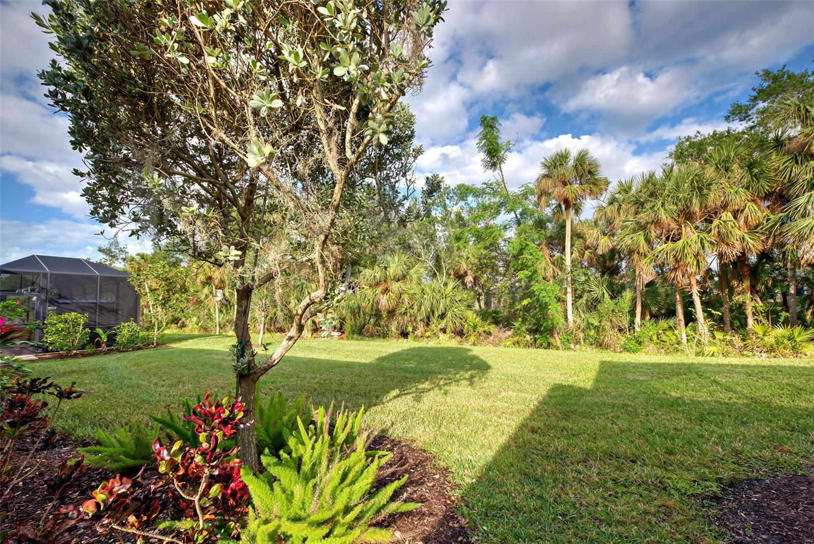 Listing photo id 50 for 11976 Blazing Star Drive