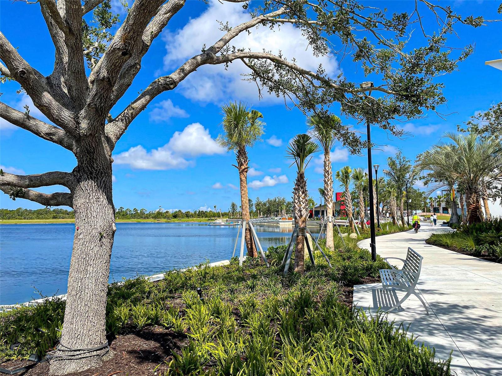 Listing photo id 56 for 11976 Blazing Star Drive