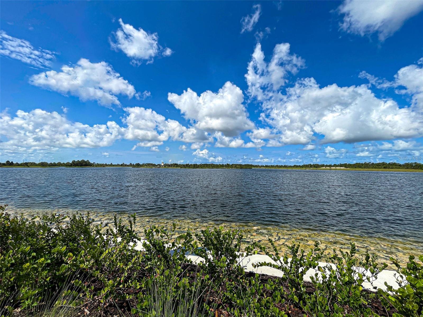 Listing photo id 80 for 11976 Blazing Star Drive