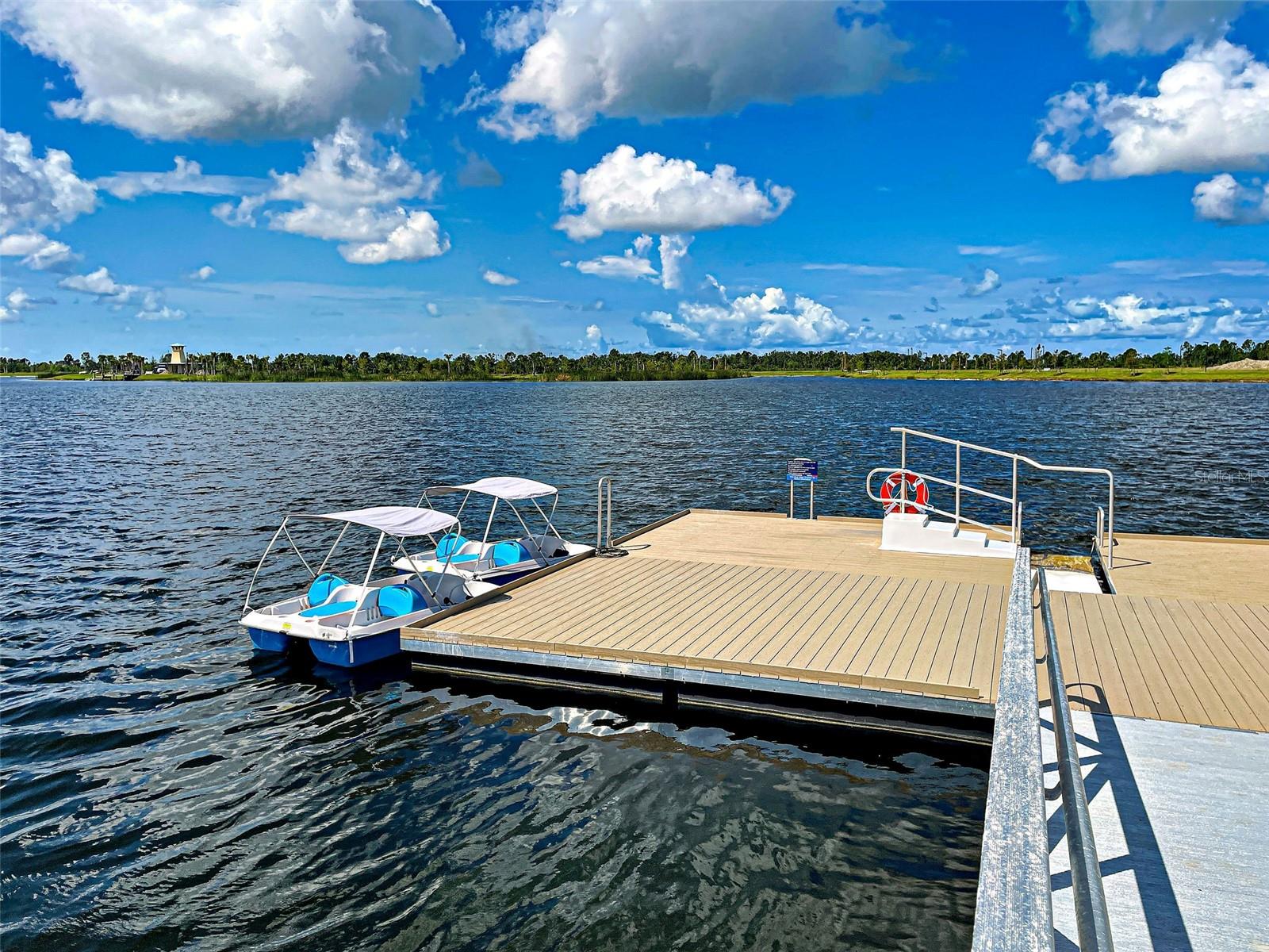 Listing photo id 94 for 11976 Blazing Star Drive