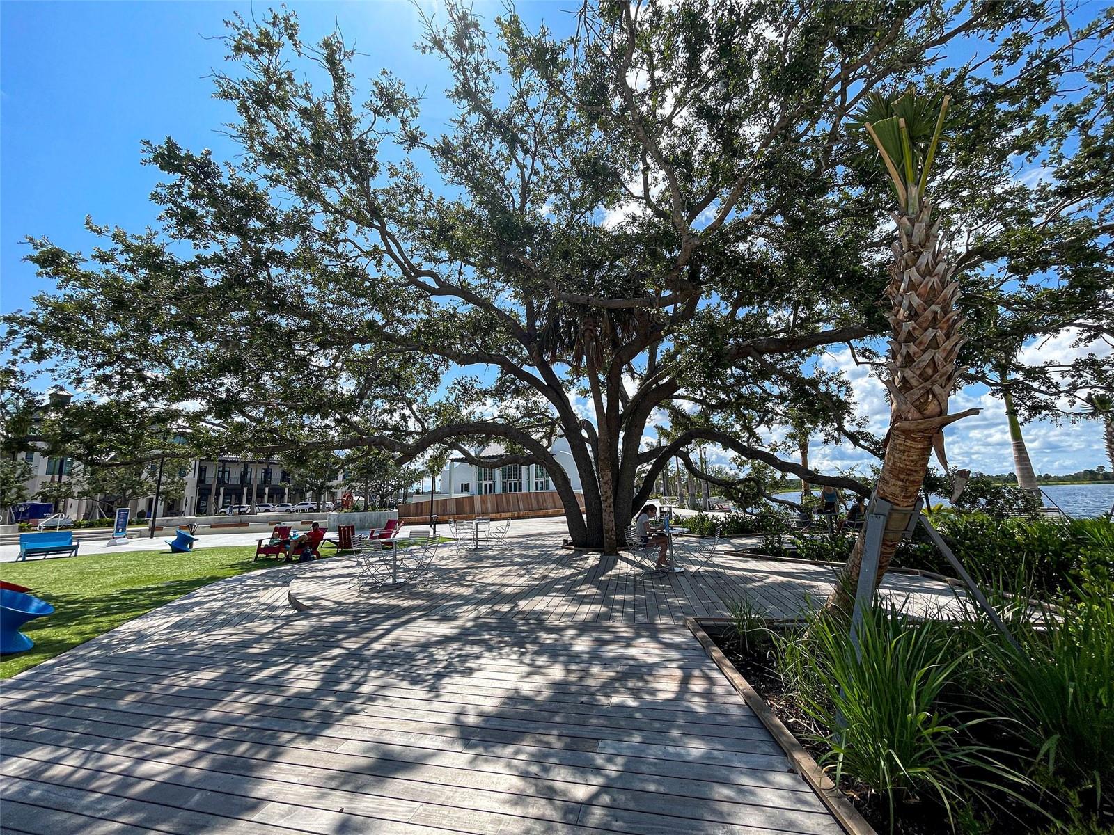 Listing photo id 95 for 11976 Blazing Star Drive