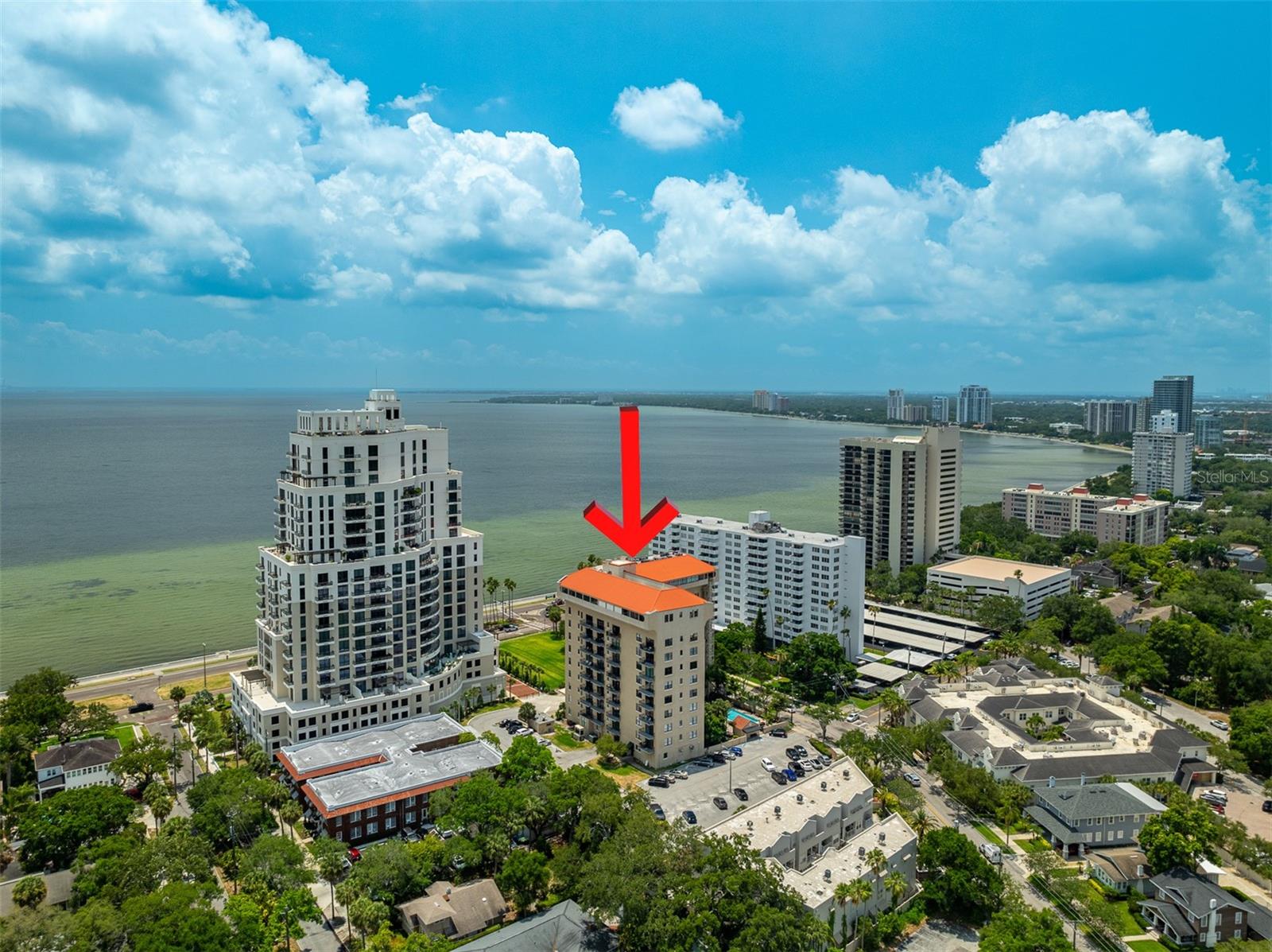 Image 39 of 42 For 2109 Bayshore Boulevard 502