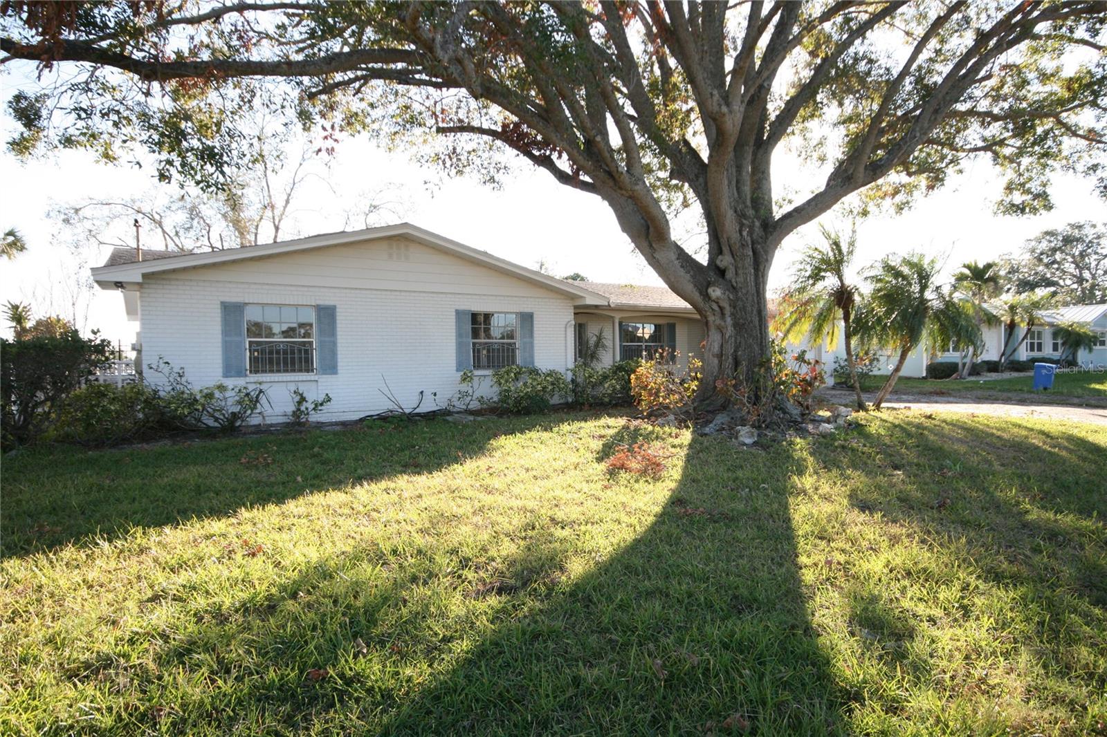 Listing photo id 2 for 4008 Dana Shores Drive