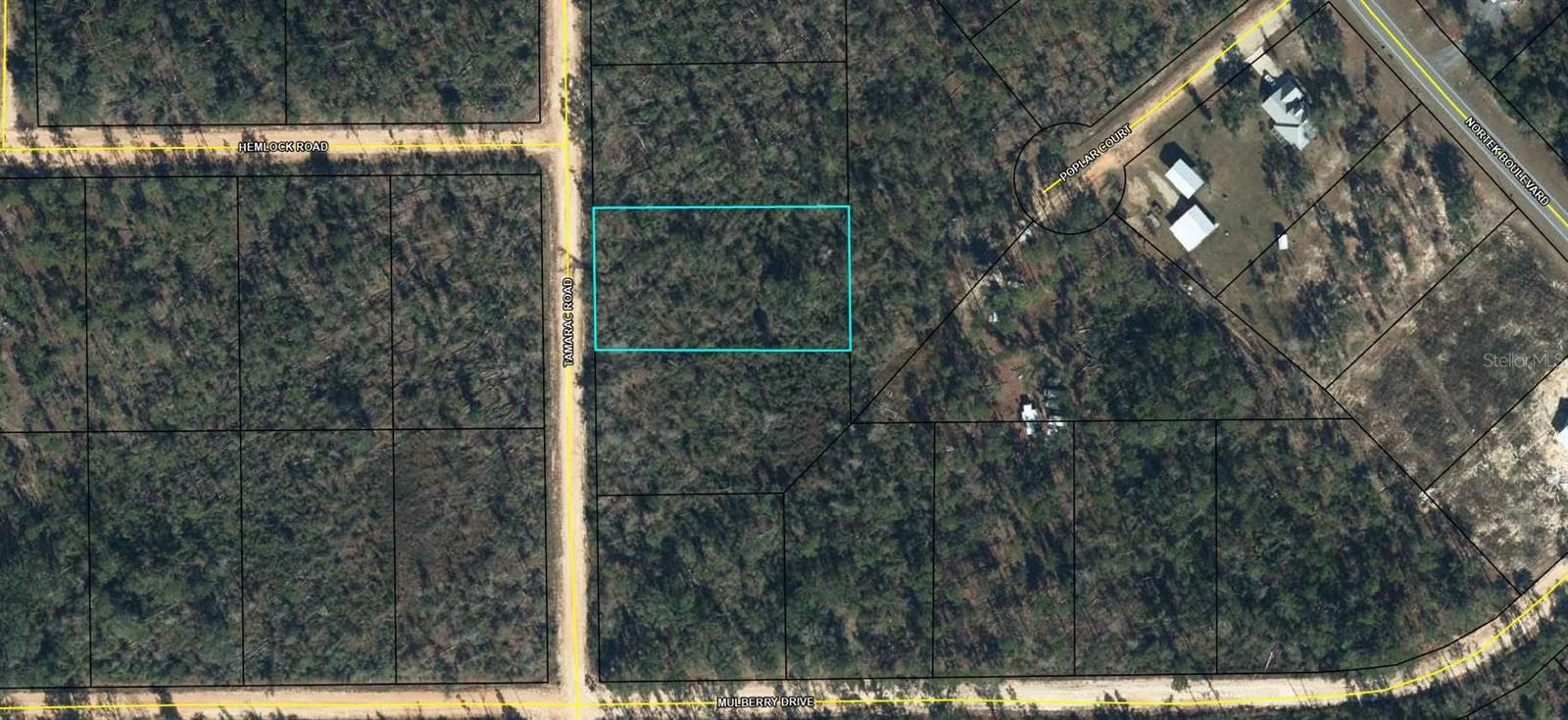 Image 2 of 11 For 00 Tamarac Rd