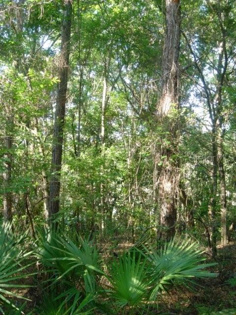 Image 8 of 11 For 00 Tamarac Rd