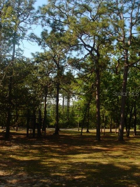Image 9 of 11 For 00 Tamarac Rd