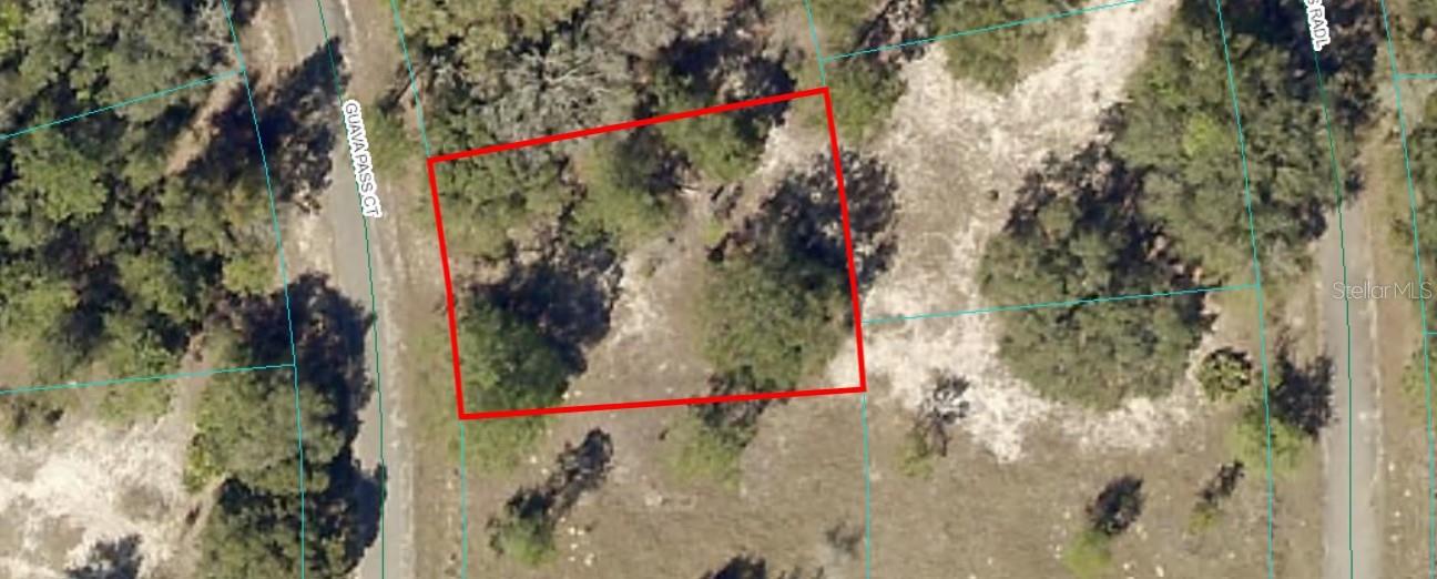 Details for Guava Pass Ct, OCKLAWAHA, FL 32179