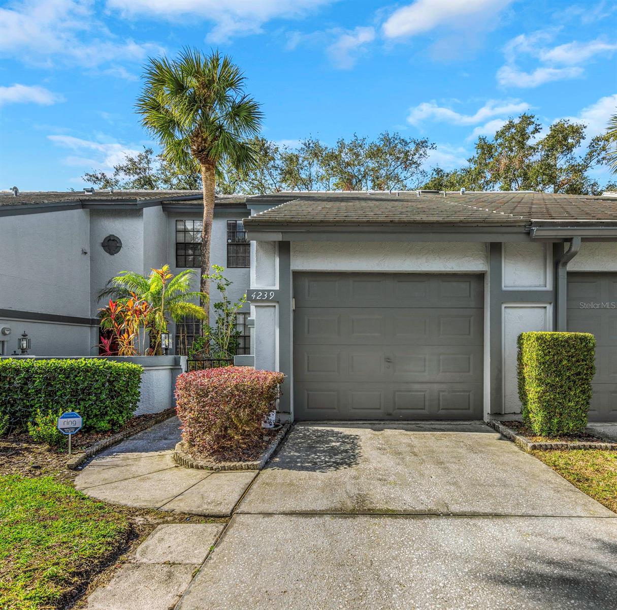 Details for 4239 Brentwood Park Circle, TAMPA, FL 33624