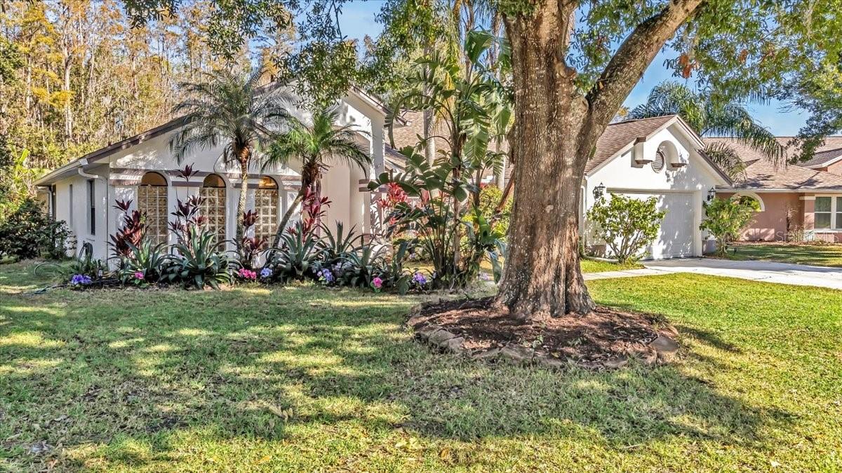 Listing photo id 0 for 4739 Mahogany Court