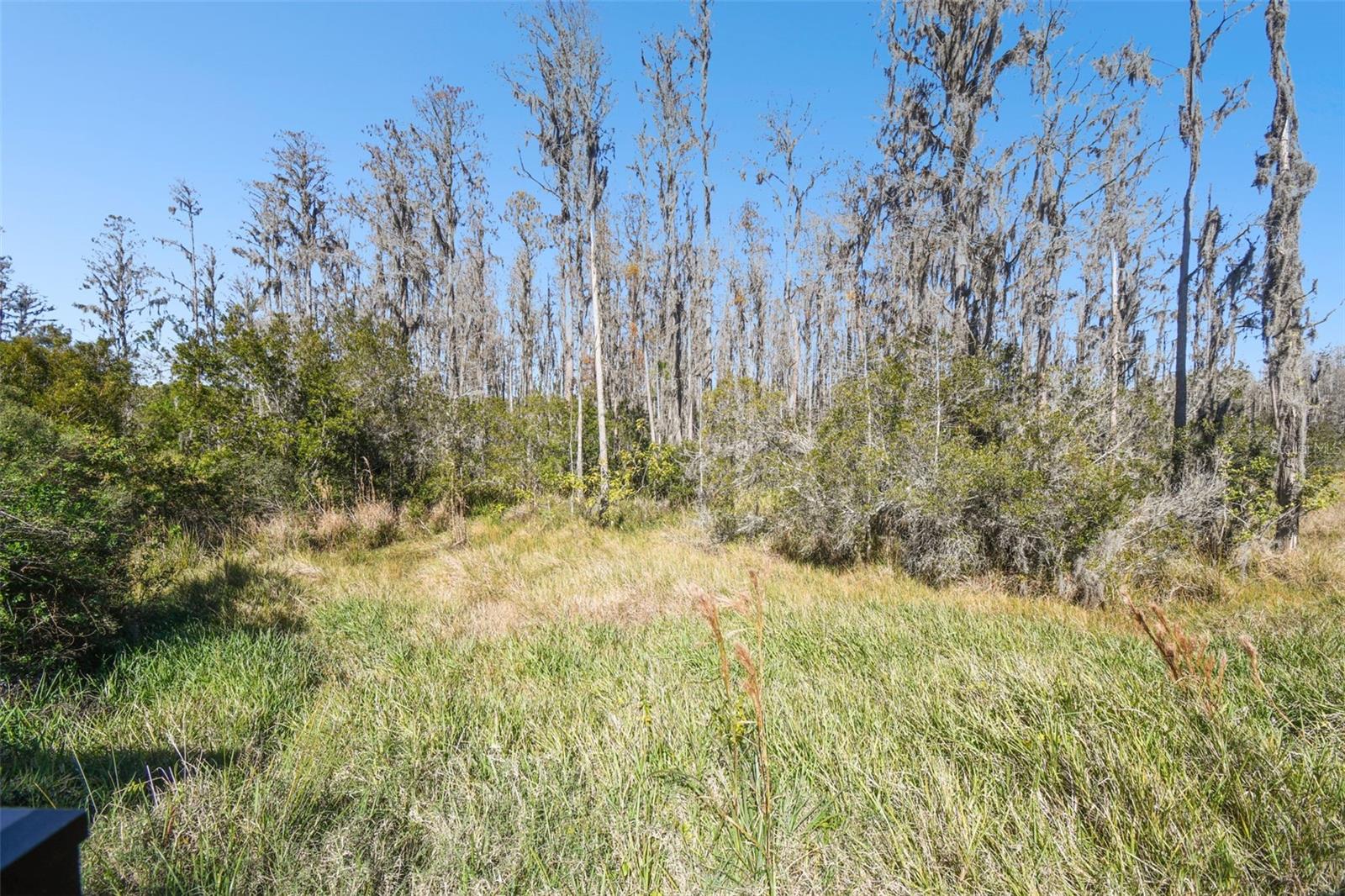 Image 63 of 91 For 2903 Satilla Loop