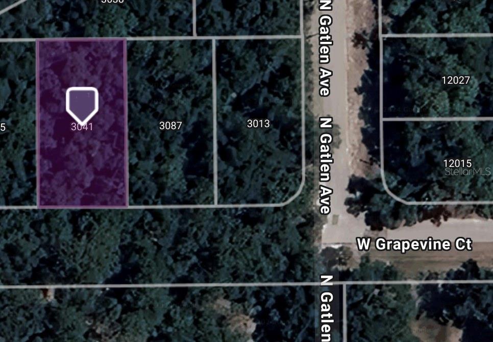 Details for 3041 Grapevine Court, DUNNELLON, FL 34433