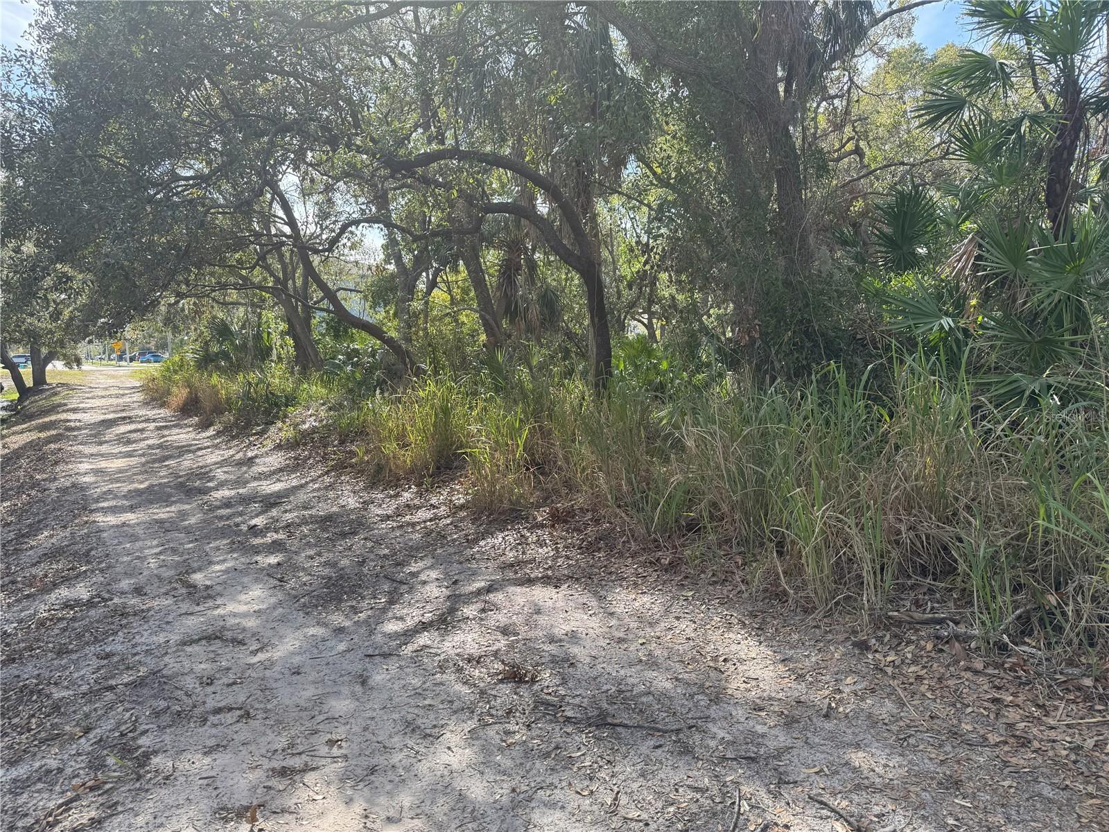 Details for  Fitzgerald  , TAMPA, FL 33616