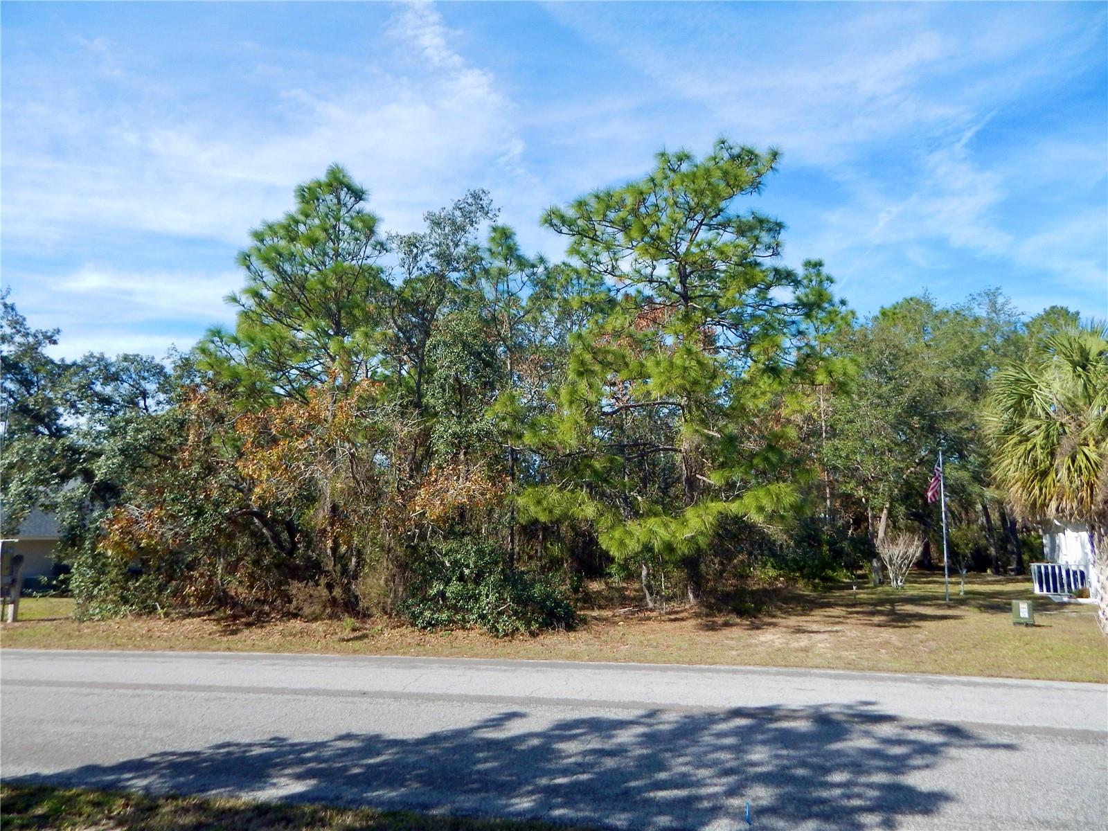 Details for 37 Speceberry Circle, HOMOSASSA, FL 34446