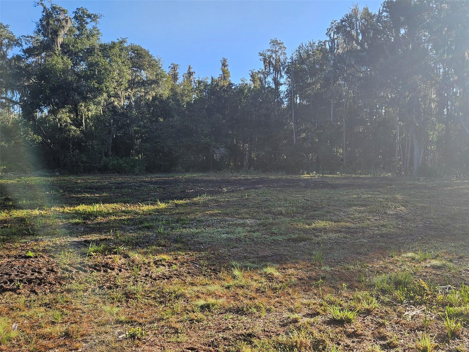 Details for  Candis Rd  , PLANT CITY, FL 33565