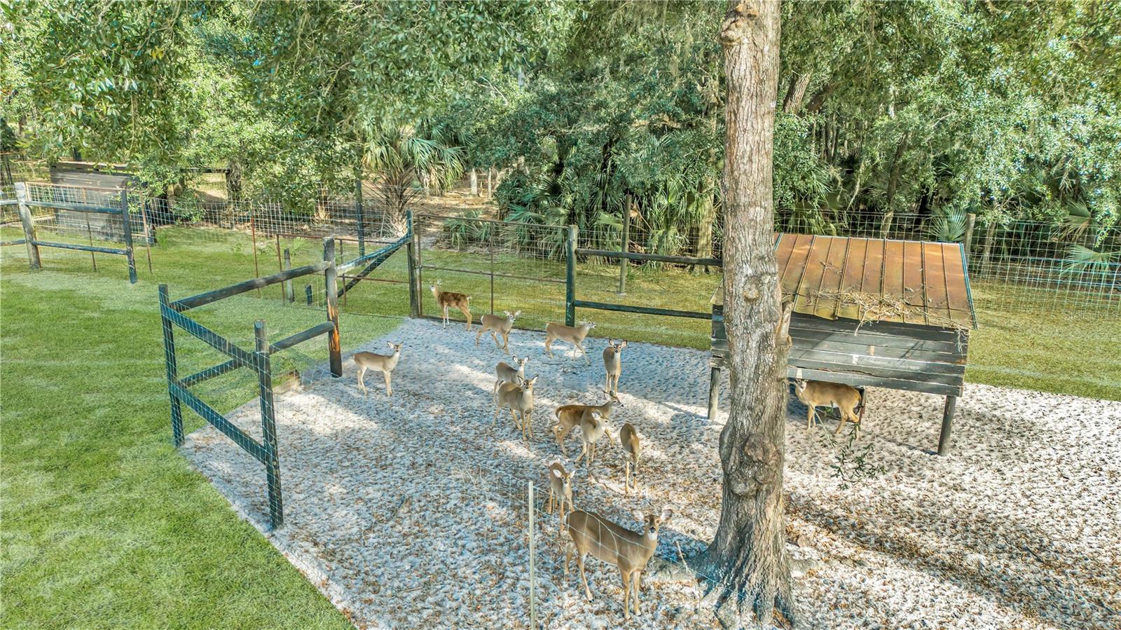 Image 8 of 10 For  Lot 6  