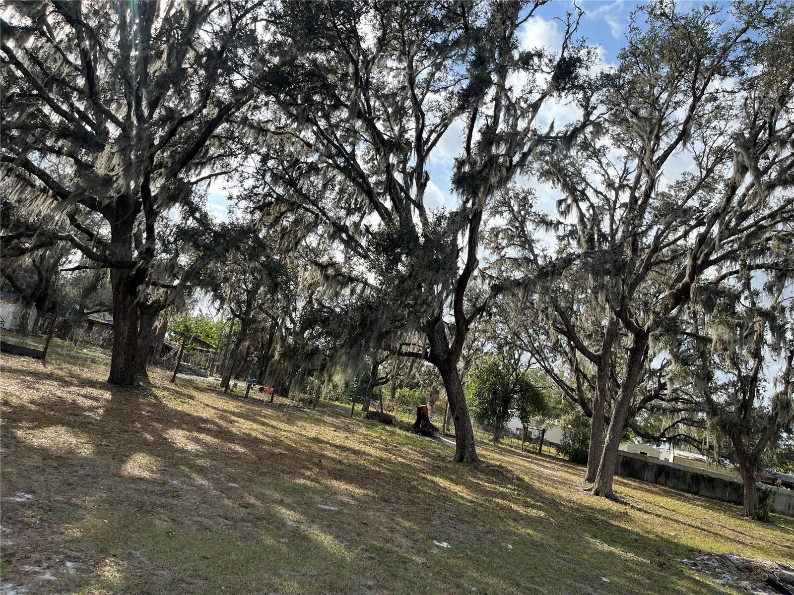 Listing photo id 14 for 1319 Vance Road
