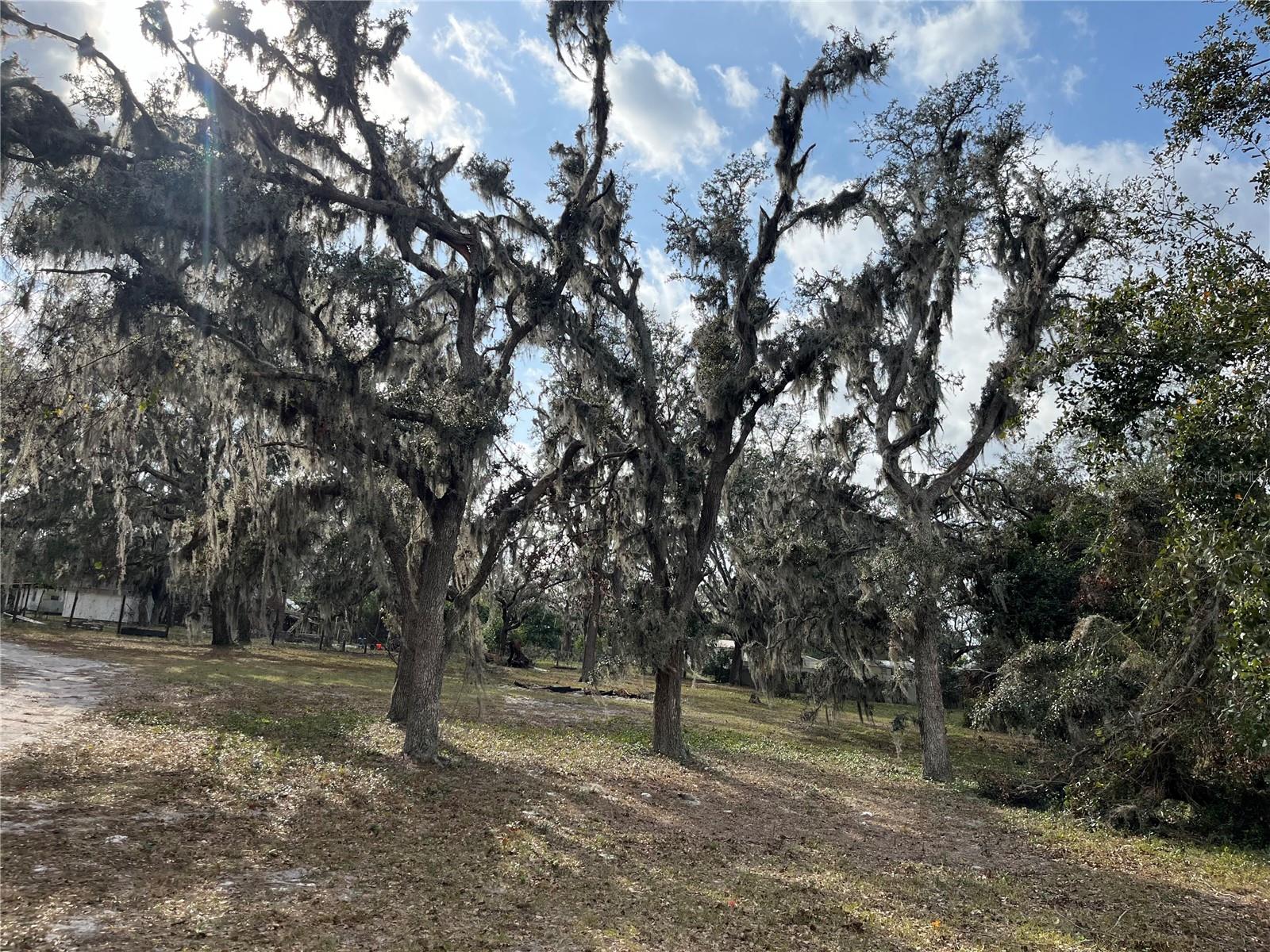 Listing photo id 19 for 1319 Vance Road