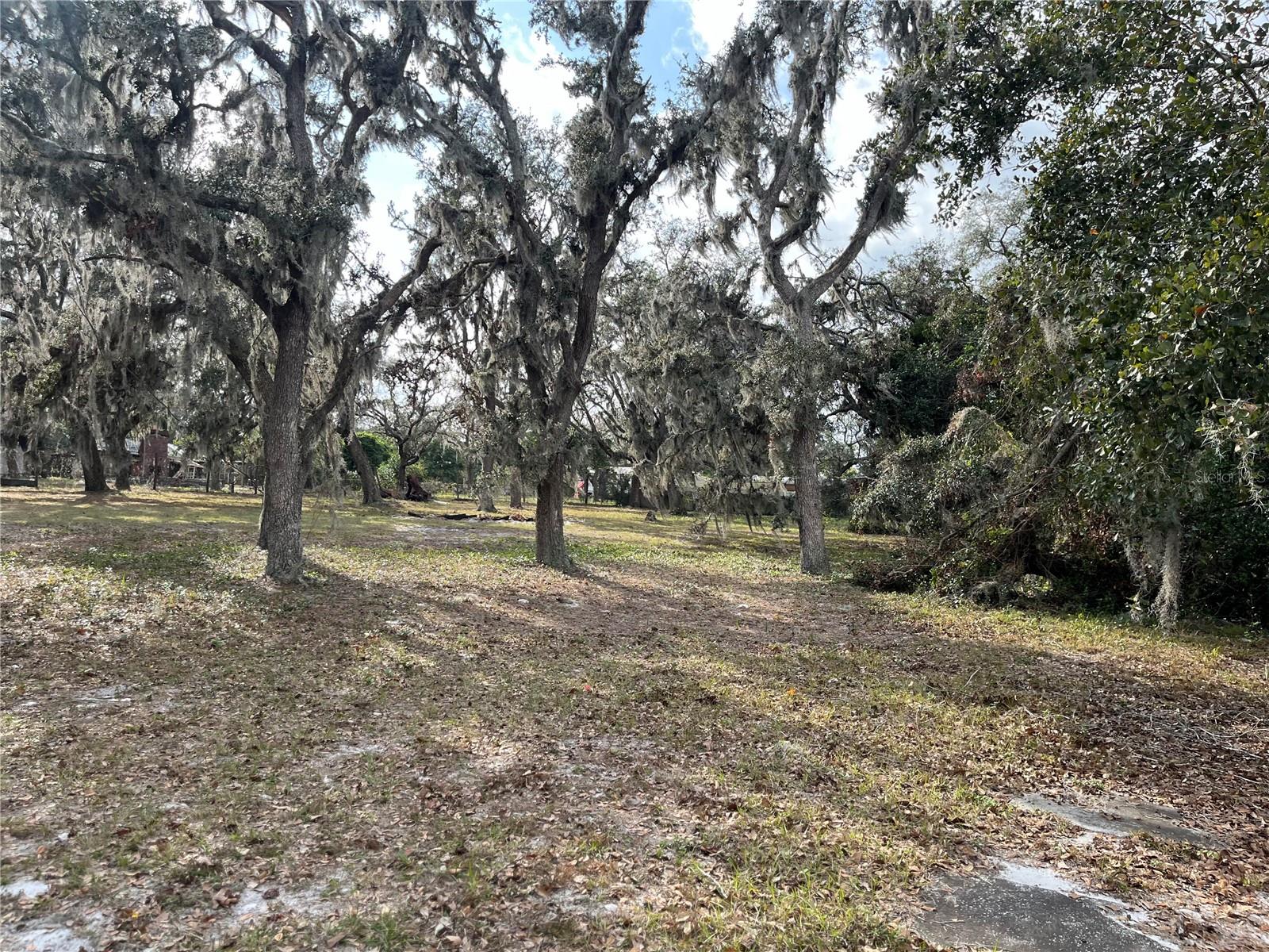 Listing photo id 20 for 1319 Vance Road