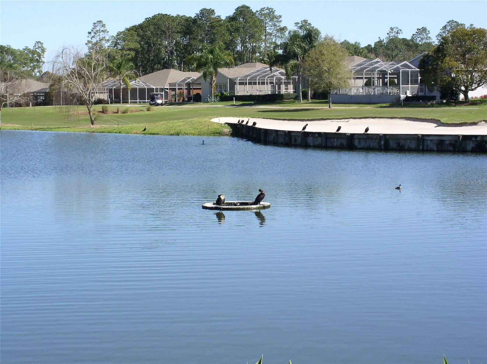 Image 51 of 52 For 11021 Edge Park Drive