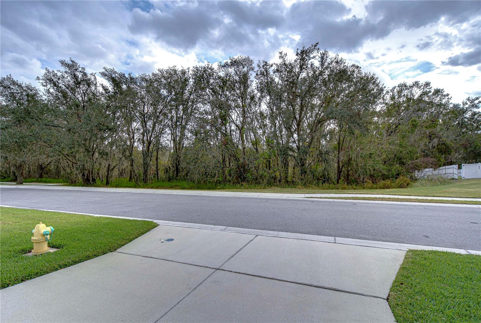 Listing photo id 25 for 2821 Holly Bluff Court