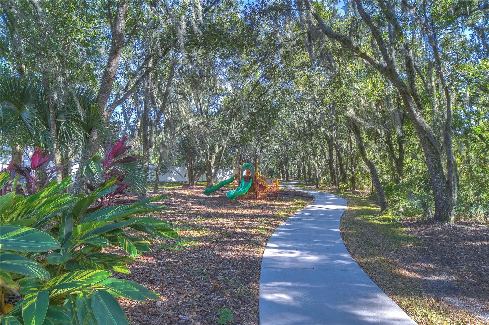 Listing photo id 27 for 2821 Holly Bluff Court