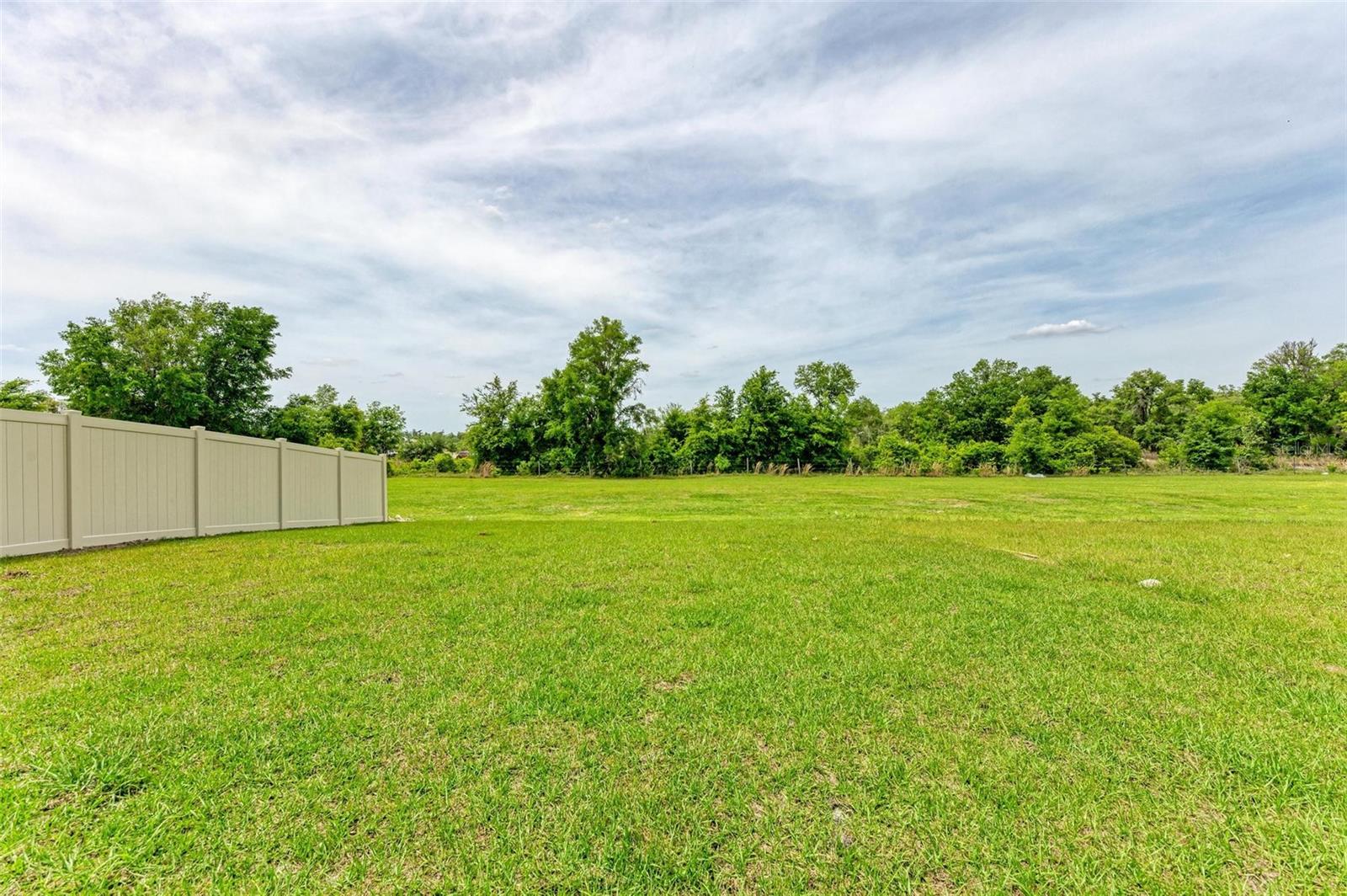 Image 89 of 94 For 10947 Osprey Glade Terrace