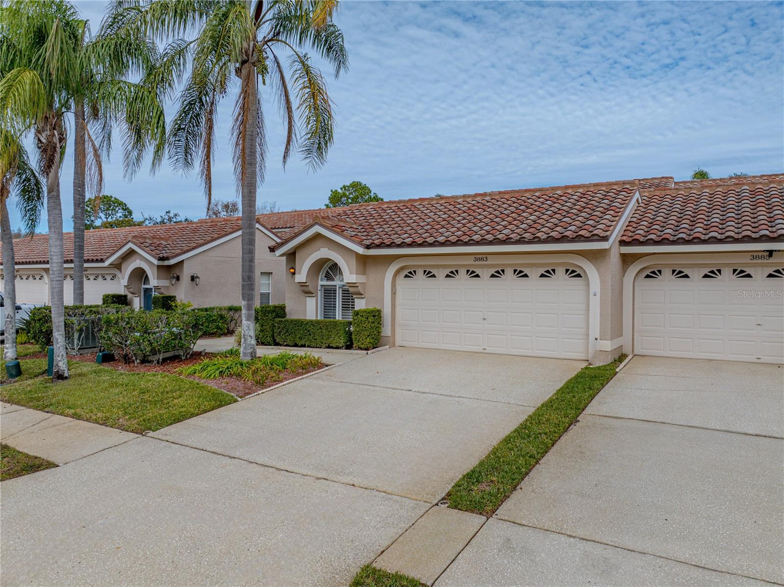 Details for 3883 Darston Street, PALM HARBOR, FL 34685