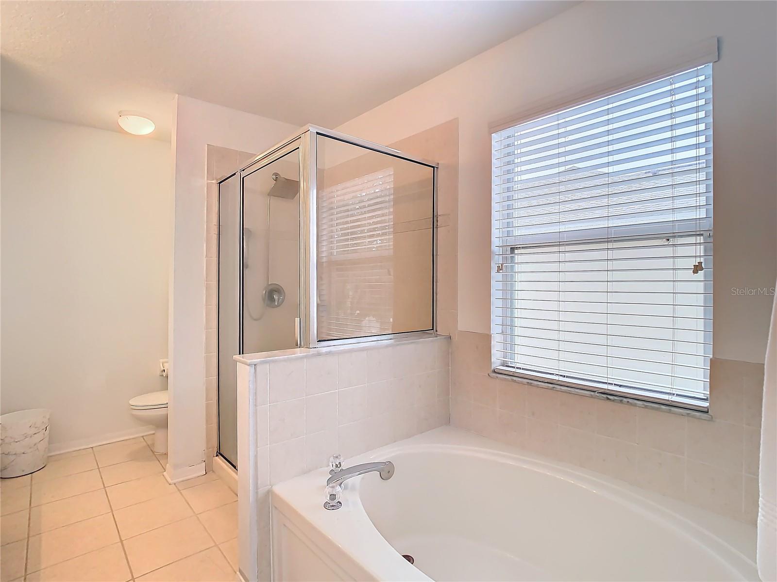 Image 38 of 61 For 17523 Stinchar Drive 17523