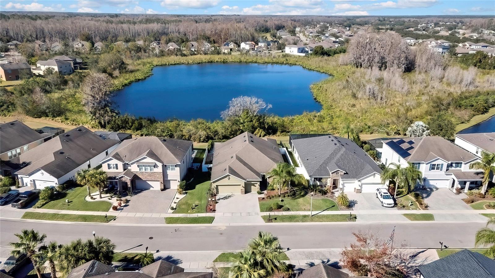 Details for 22583 Cherokee Rose Place, LAND O LAKES, FL 34639