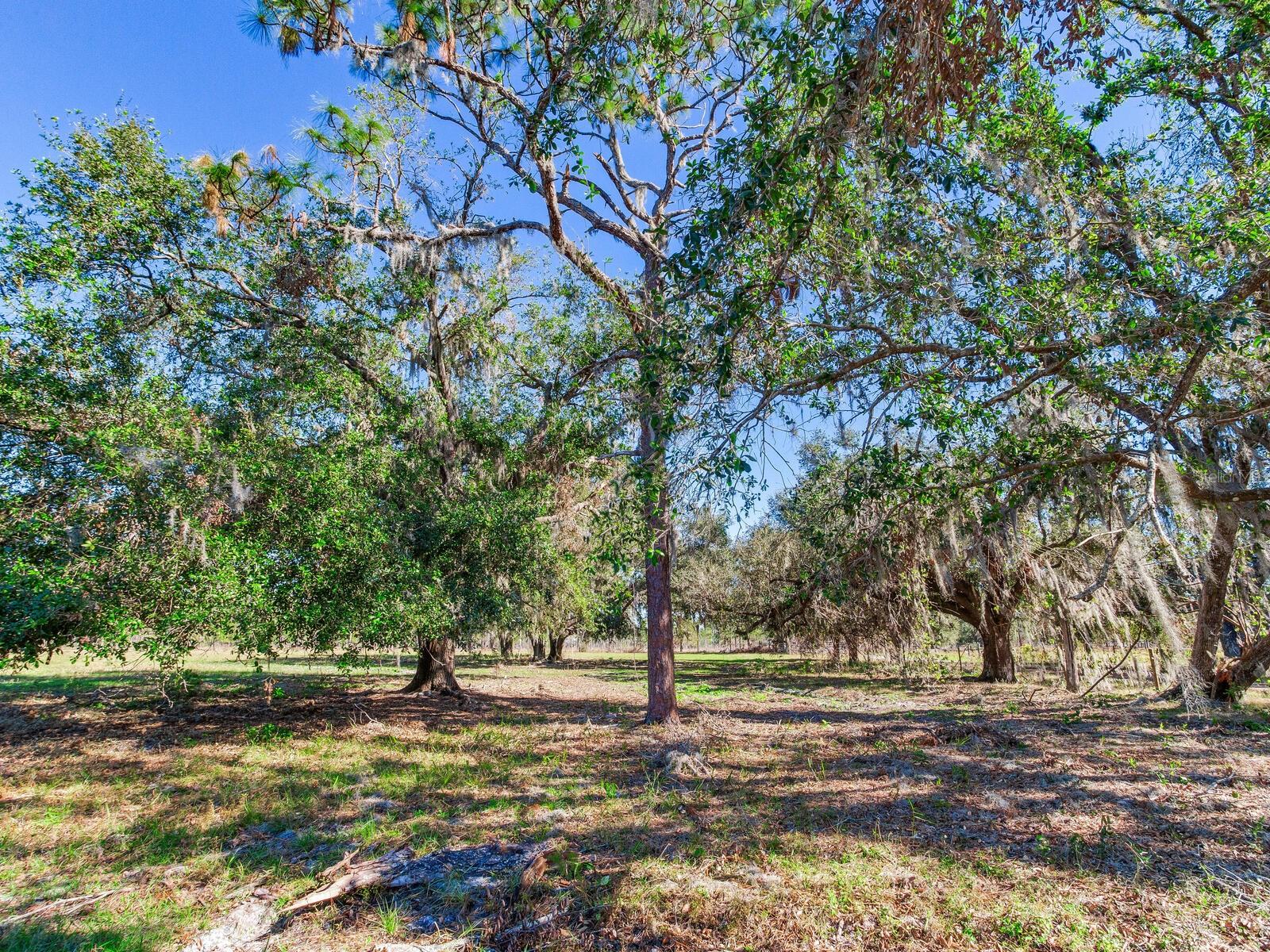 Image 80 of 92 For 11312 Colding Road