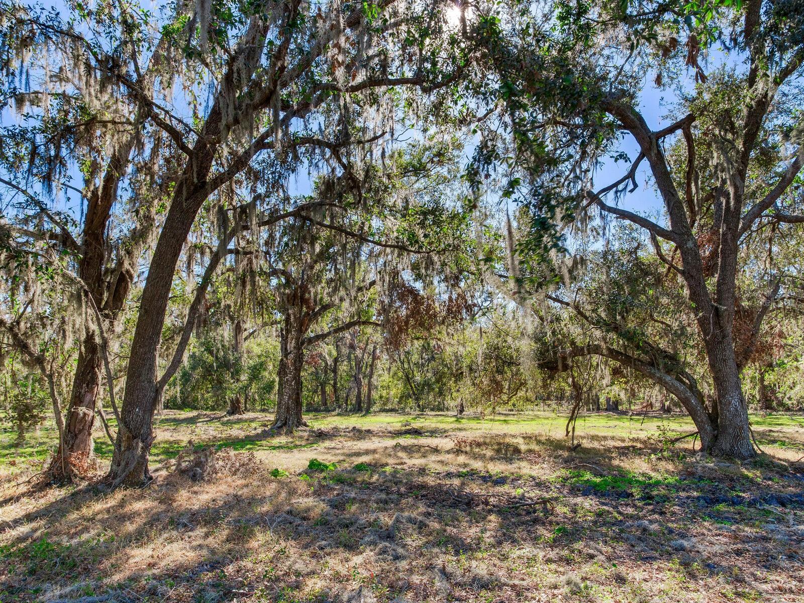 Image 82 of 92 For 11312 Colding Road