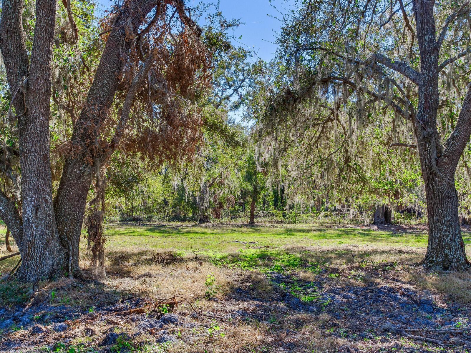 Image 83 of 92 For 11312 Colding Road