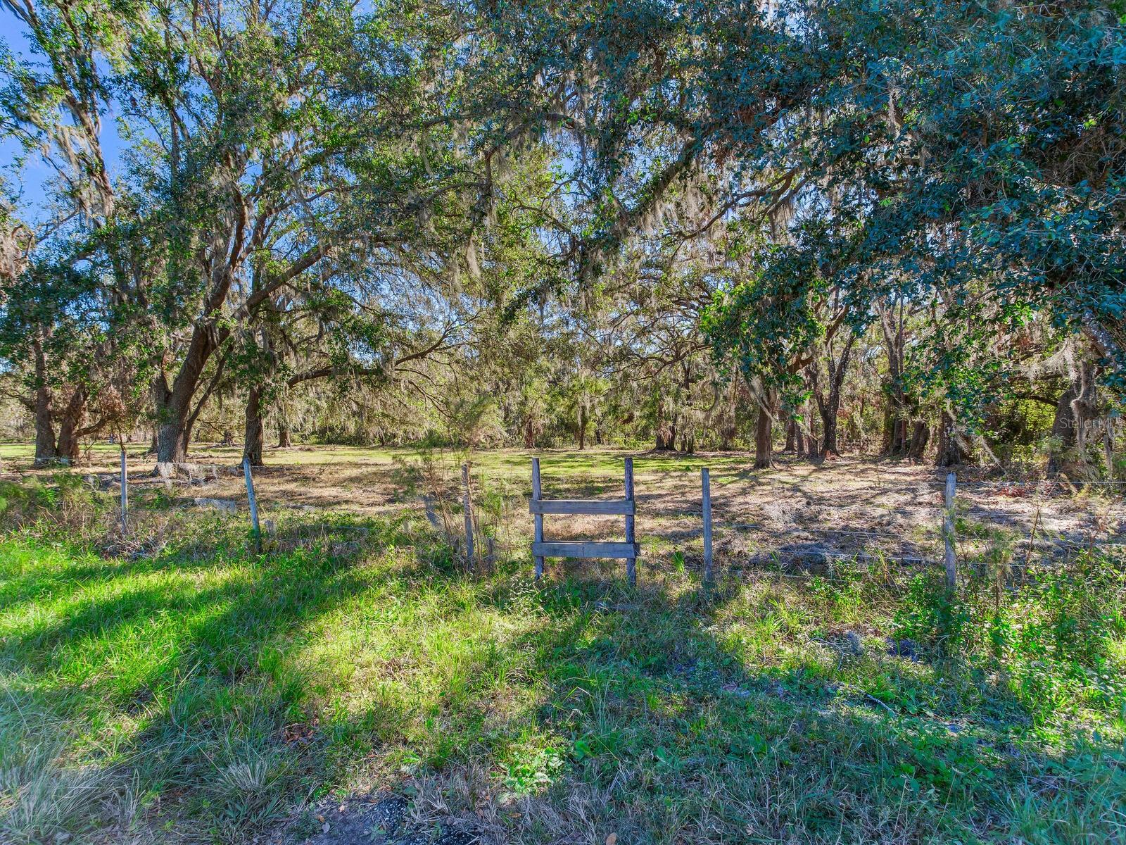 Image 84 of 92 For 11312 Colding Road