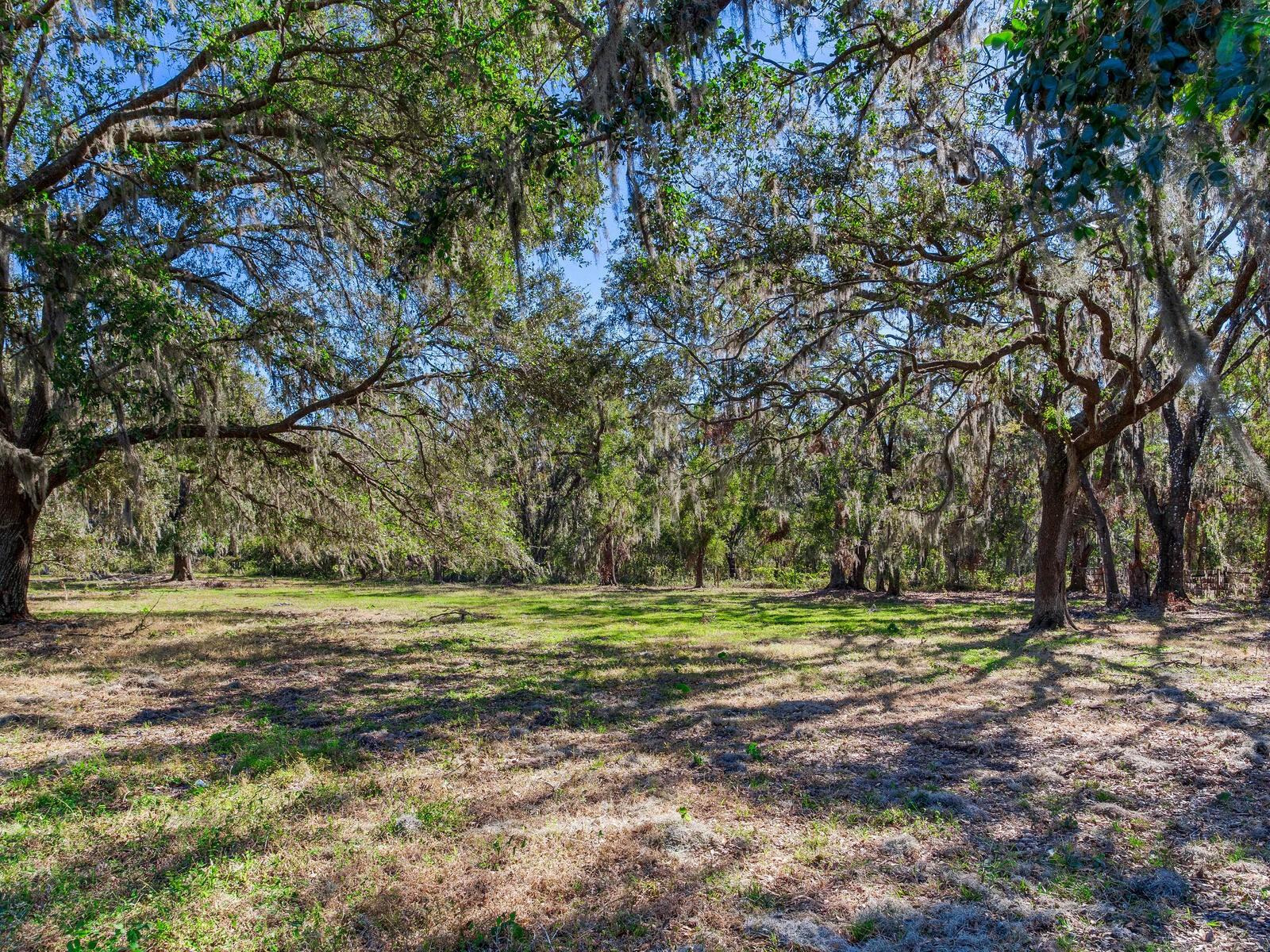 Image 85 of 92 For 11312 Colding Road