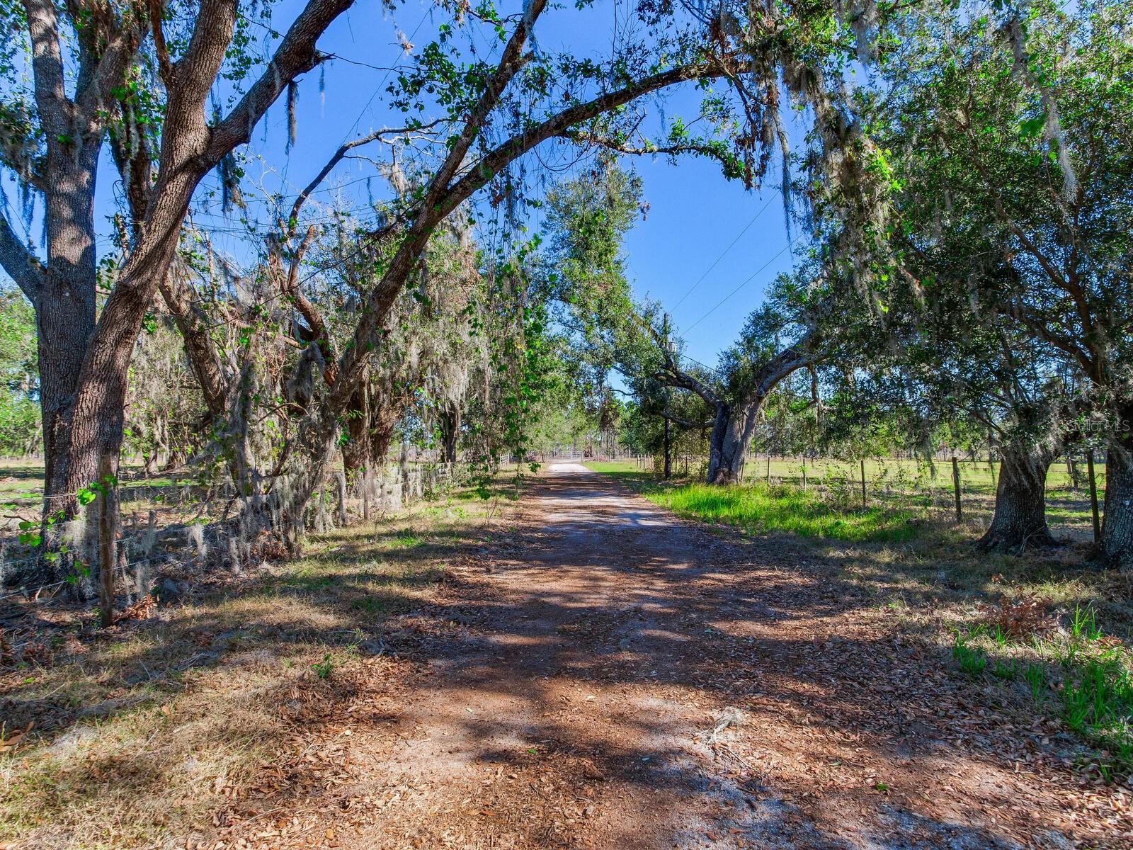 Image 87 of 92 For 11312 Colding Road