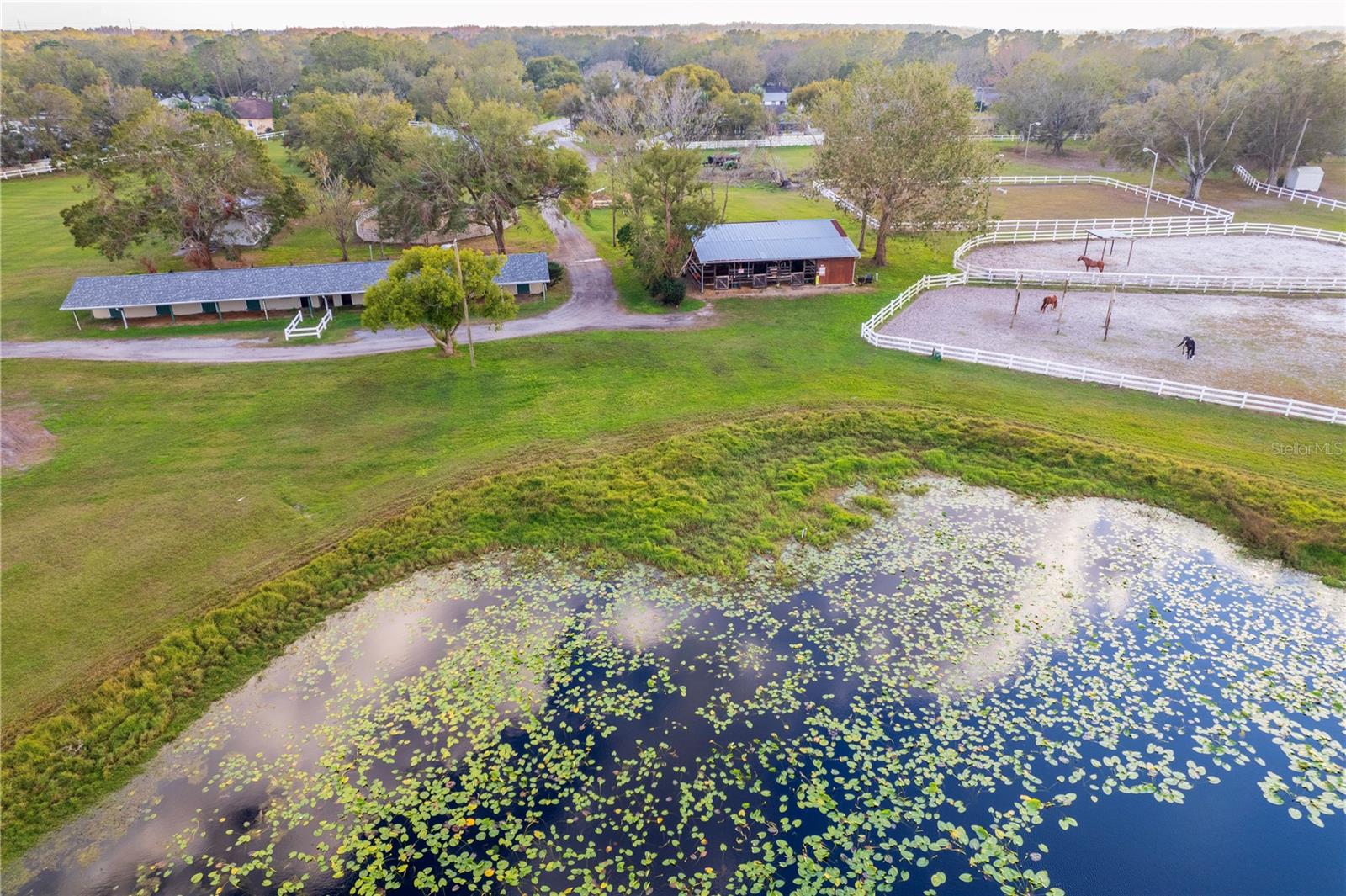 Listing photo id 91 for 2972 Lake Saxon Drive