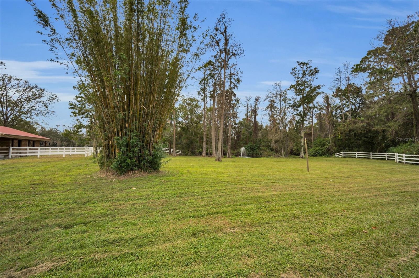 Image 85 of 97 For 249 Dogwood Trace